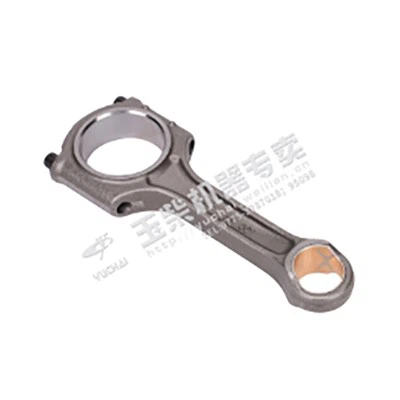 เชื่อมต่อเปลือกหอย